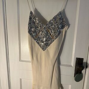 Elegant Cream and Silver Sequin Dress